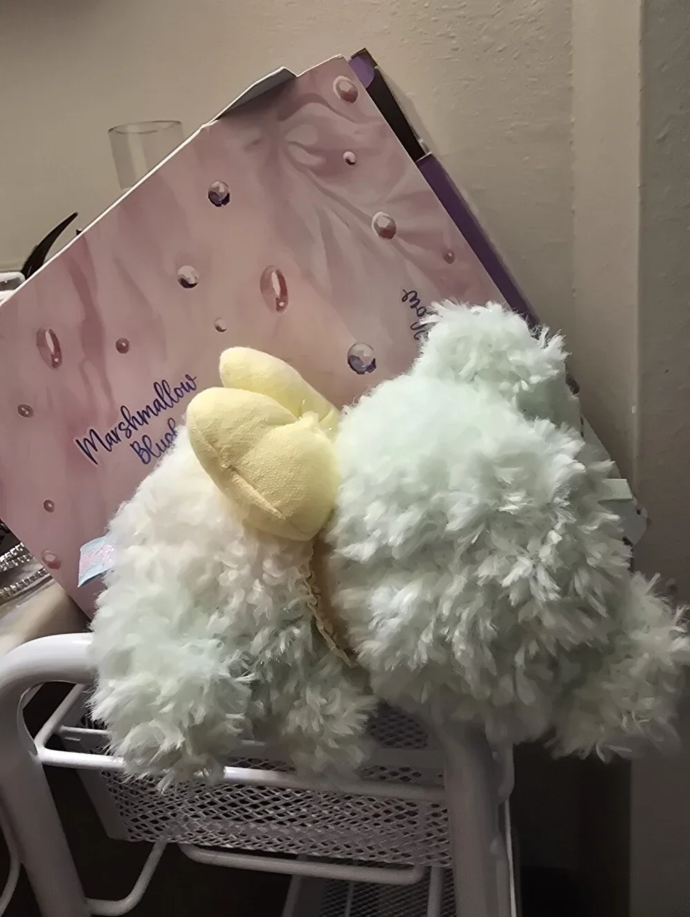 Baby Three Little Bear Adoption Guide